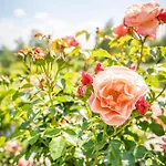 アパート Rosengarten バート・エンドルフ