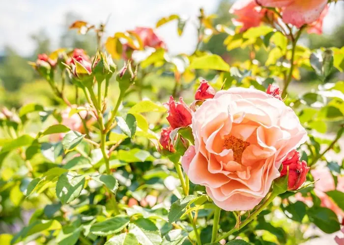 Lägenhet Rosengarten Bad Endorf